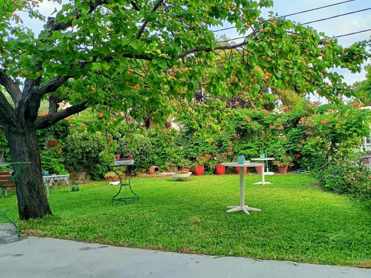 Finikas Rooms Agia Marina  Luaran gambar