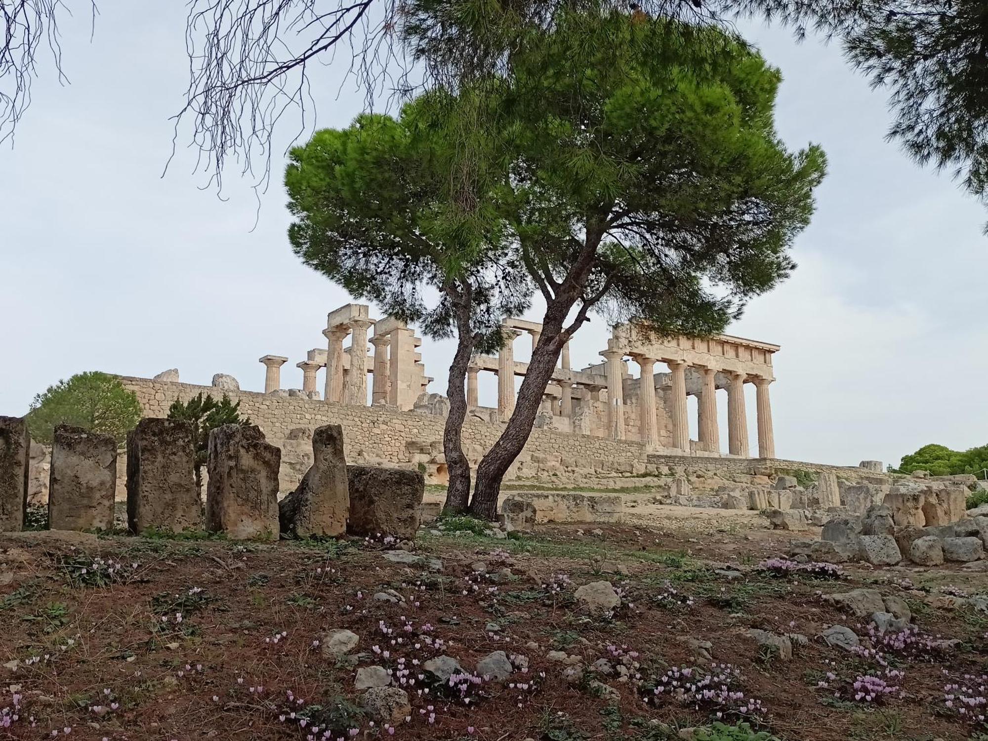 Finikas Rooms Agia Marina  Luaran gambar