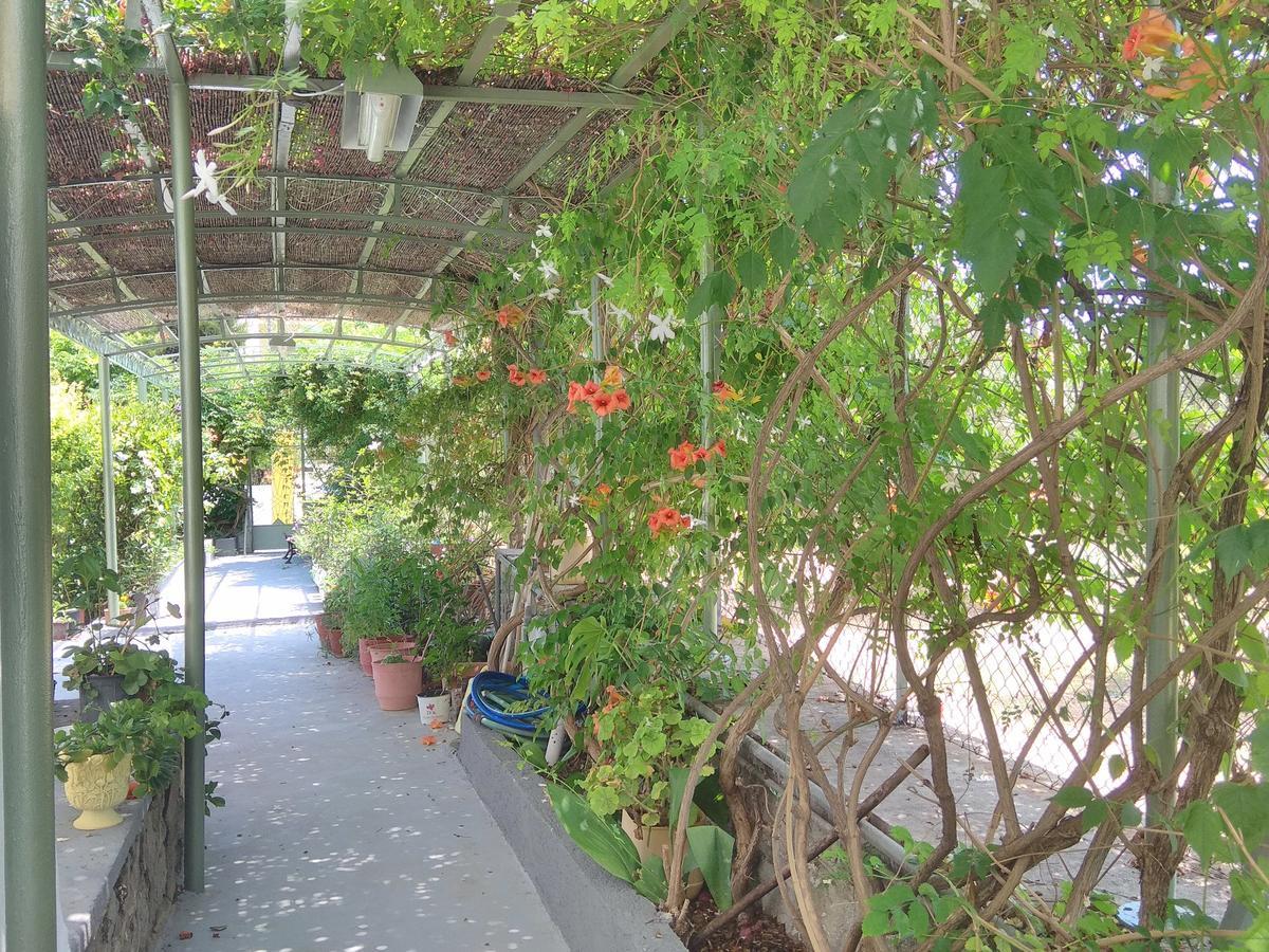 Finikas Rooms Agia Marina  Luaran gambar